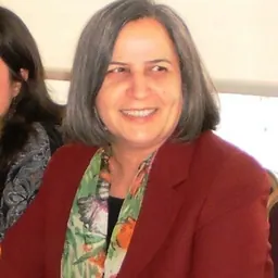 Portrait of Gültan Kışanak
