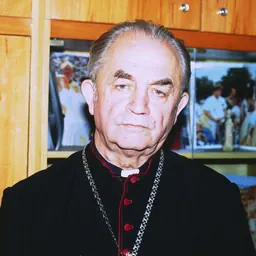 Portrait of Ivan Semedi