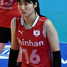 Portrait of Jeong Ji-yun