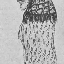 Portrait of Te Whiti o Rongomai