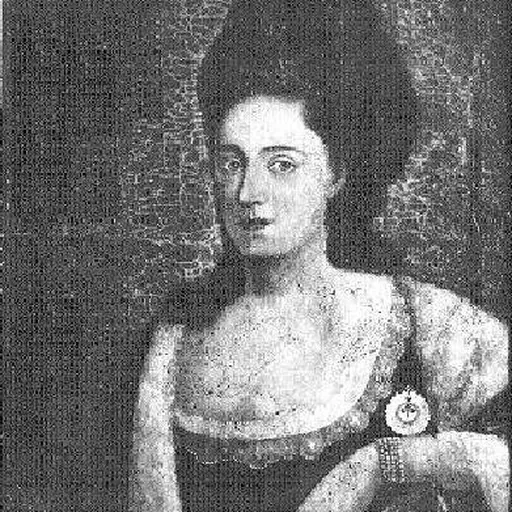 Portrait of Mariana Joaquina Pereira Coutinho