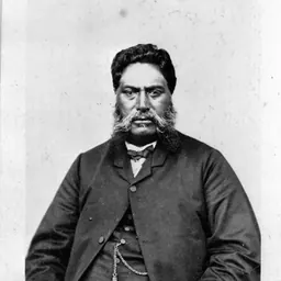 Portrait of Tamihana Te Rauparaha