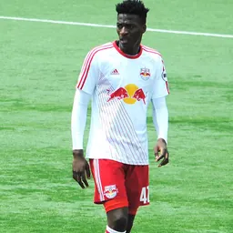 Portrait of Hassan Ndam