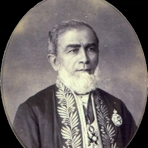 Portrait of João Lustosa da Cunha Paranaguá