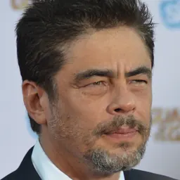 Portrait of Benicio del Toro