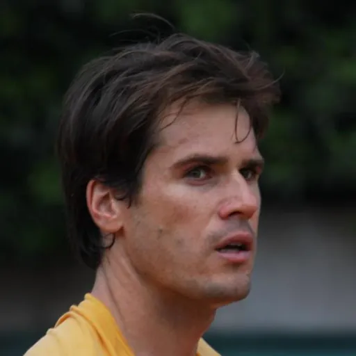 Portrait of Tommy Haas