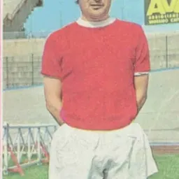Portrait of Giuseppe Tamborini