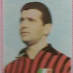 Portrait of Emanuele Del Vecchio