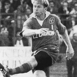 Portrait of Naas Botha