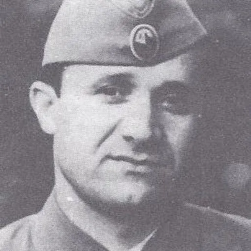 Portrait of Petar Drapšin