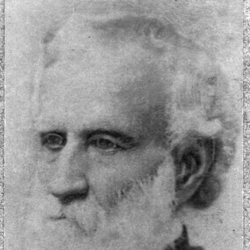 Portrait of Thomas T. Fauntleroy