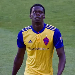 Portrait of Dominique Badji