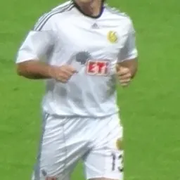 Portrait of Safet Nadarević