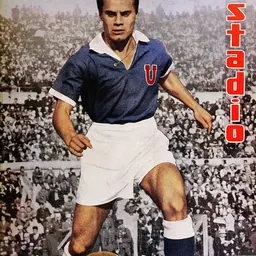 Portrait of Braulio Musso