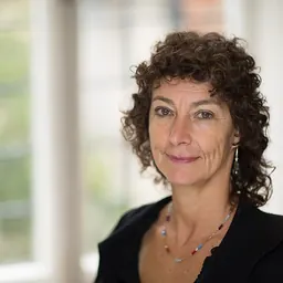 Portrait of Sandra Fredman