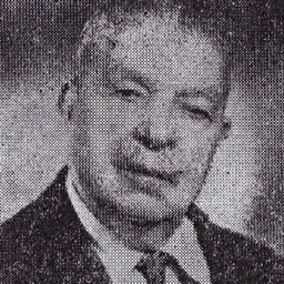 Portrait of Ion Niculi
