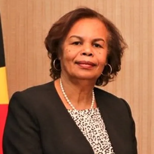 Portrait of Florentina da Conceição Pereira Martins Smith