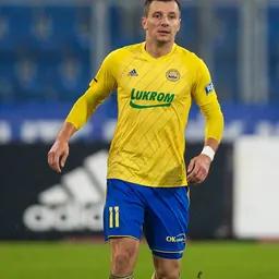Portrait of Adnan Džafić