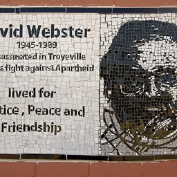 Portrait of David Webster