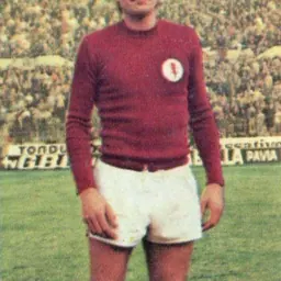 Portrait of Renato Zaccarelli