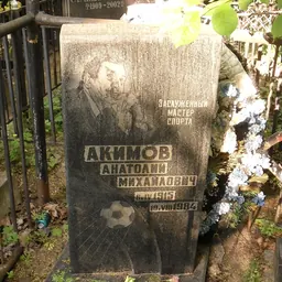 Portrait of Anatoly Akimov