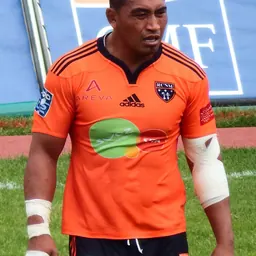Portrait of Jerry Collins