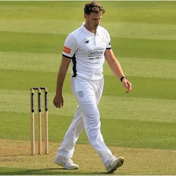 Portrait of Brad Wheal