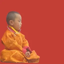 Portrait of 20th Kushok Bakula Rinpoche