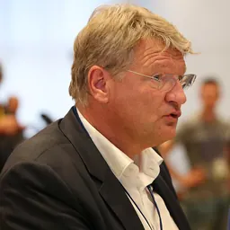 Portrait of Jörg Meuthen