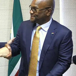 Portrait of Nathi Mthethwa